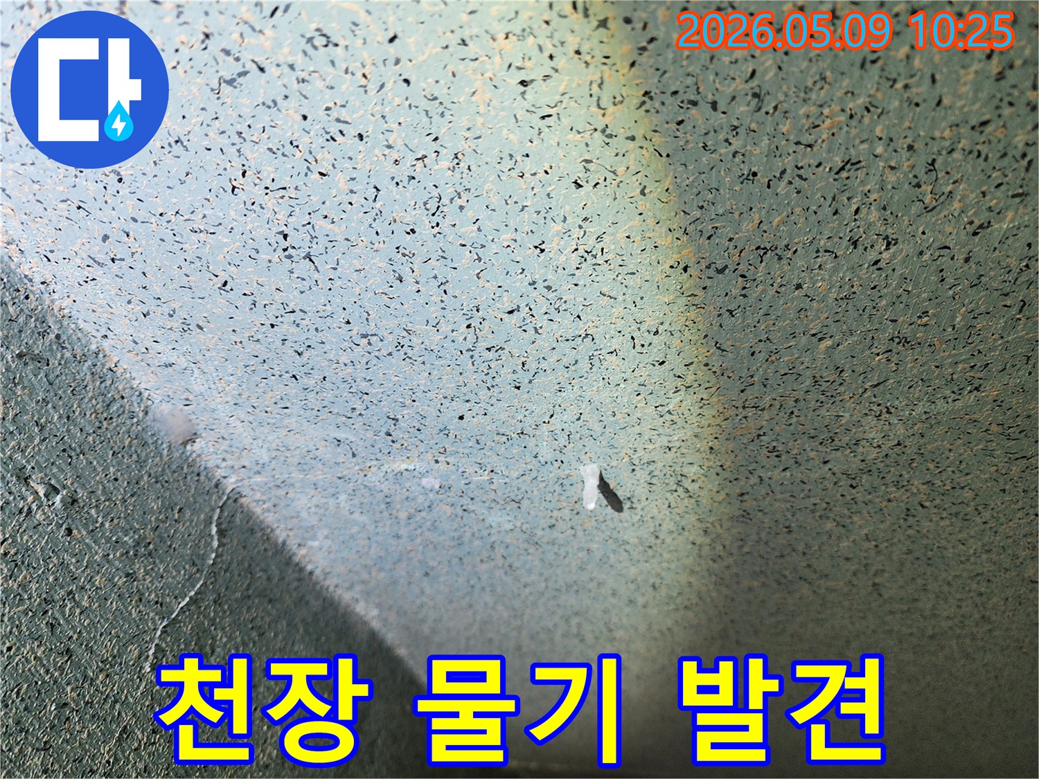 천장-표면에-물기가-흥건한-누수-현장을-정밀하게-조사하는-전문가의-모습