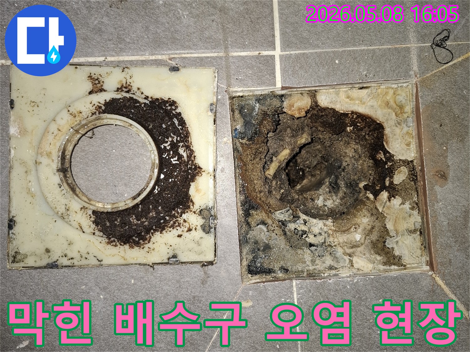 욕실 배수구가-이물질로 심하게 막혀-오염된 현장 모습을-담은 사진입니다