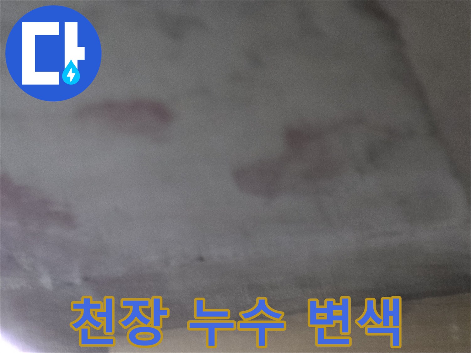 오피스텔-거실-천장의-습기-및-얼룩-상태-사진