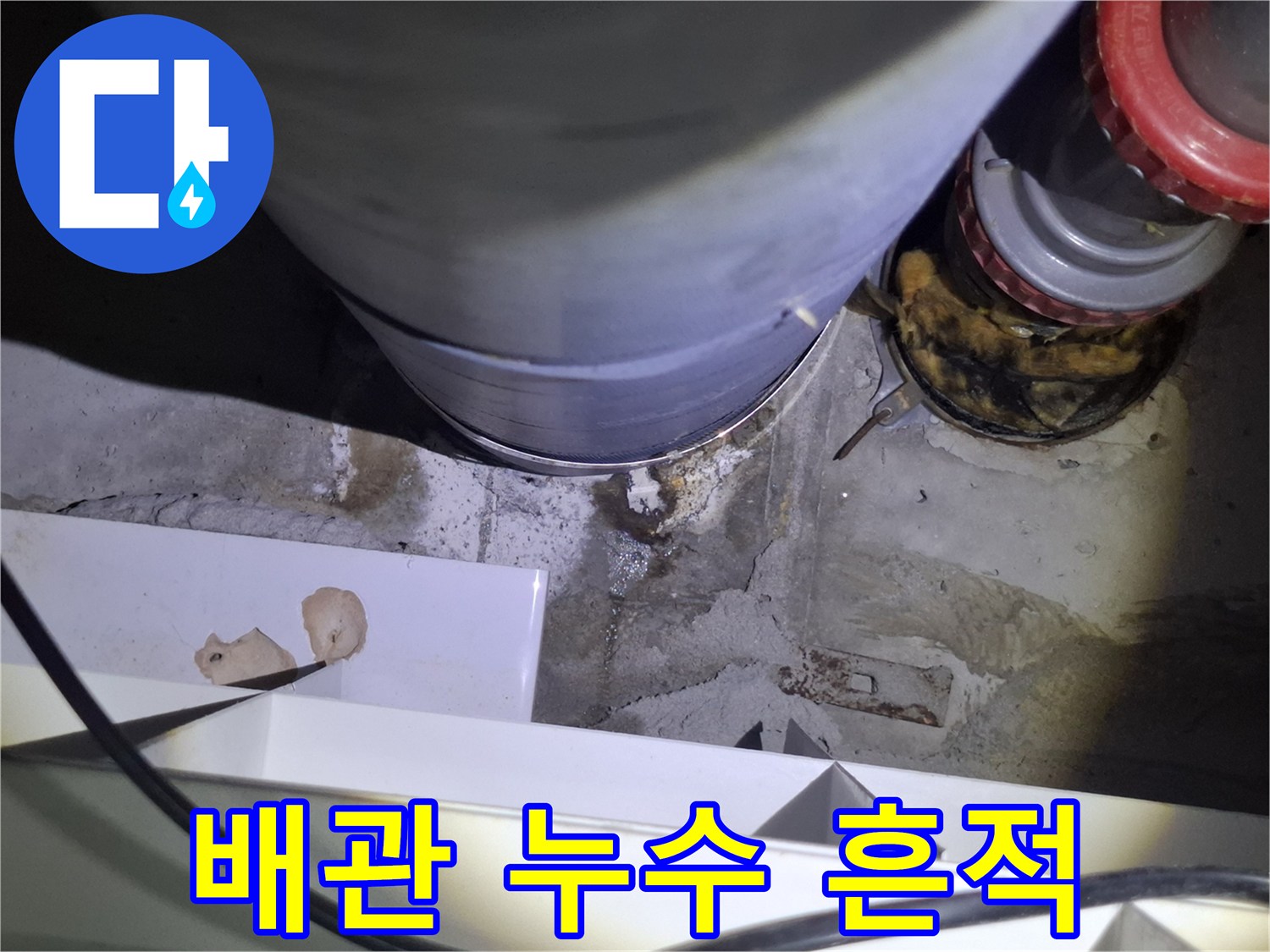 파주 현장 오수관 주변의 젖은 자국과 물샘 확인