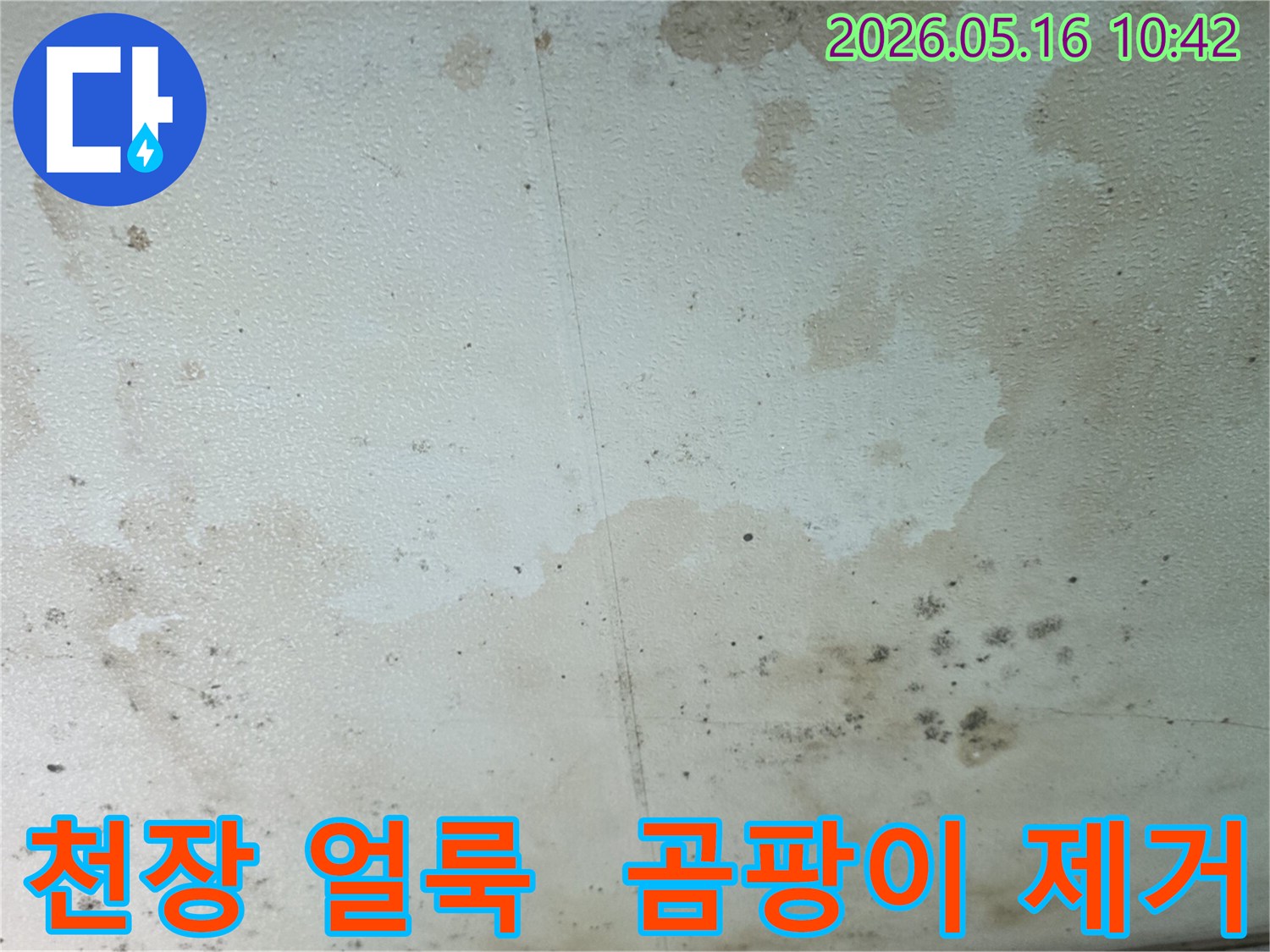 누수로-인해-얼룩지고-곰팡이가-핀-천장-표면의-상세-모습