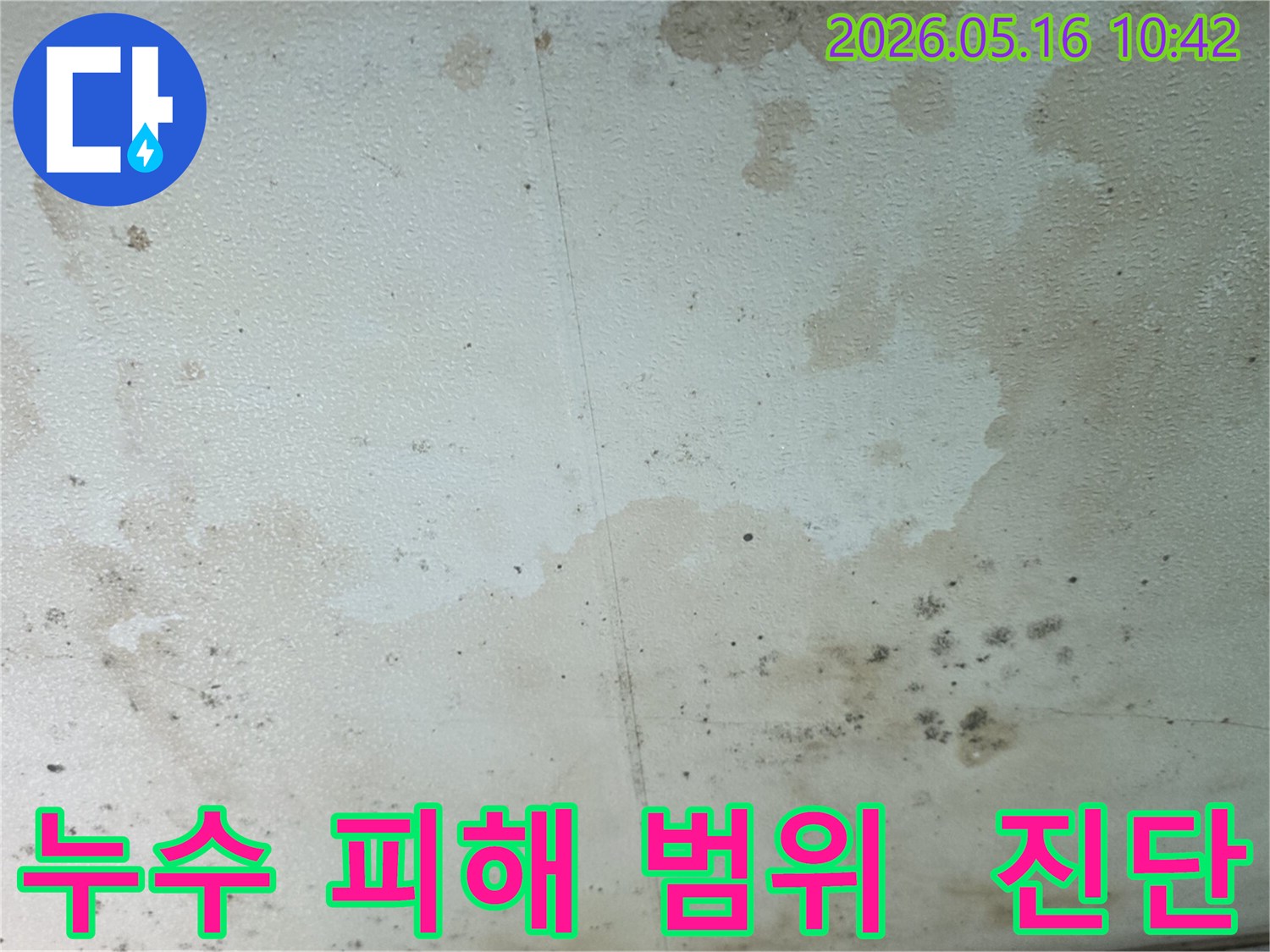 누수로-인해-천장에-생긴-물-얼룩과-곰팡이-피해-현장-사진