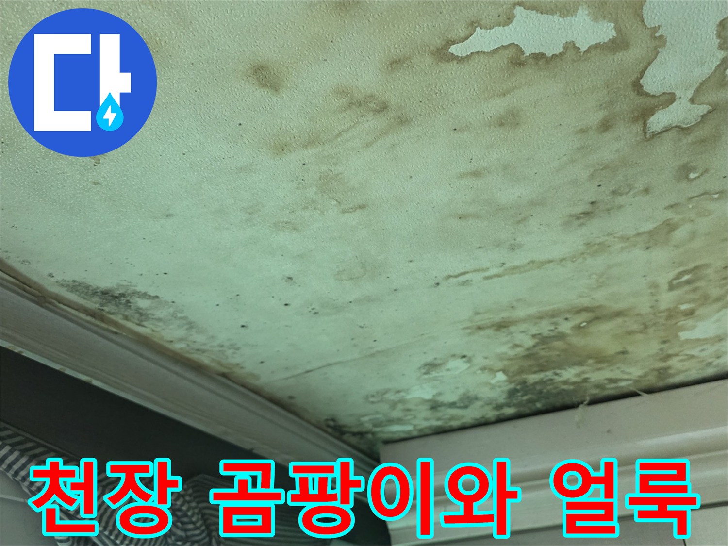 빌라 천장 벽지 - 넓게 퍼진 물자국과 곰팡이 흔적