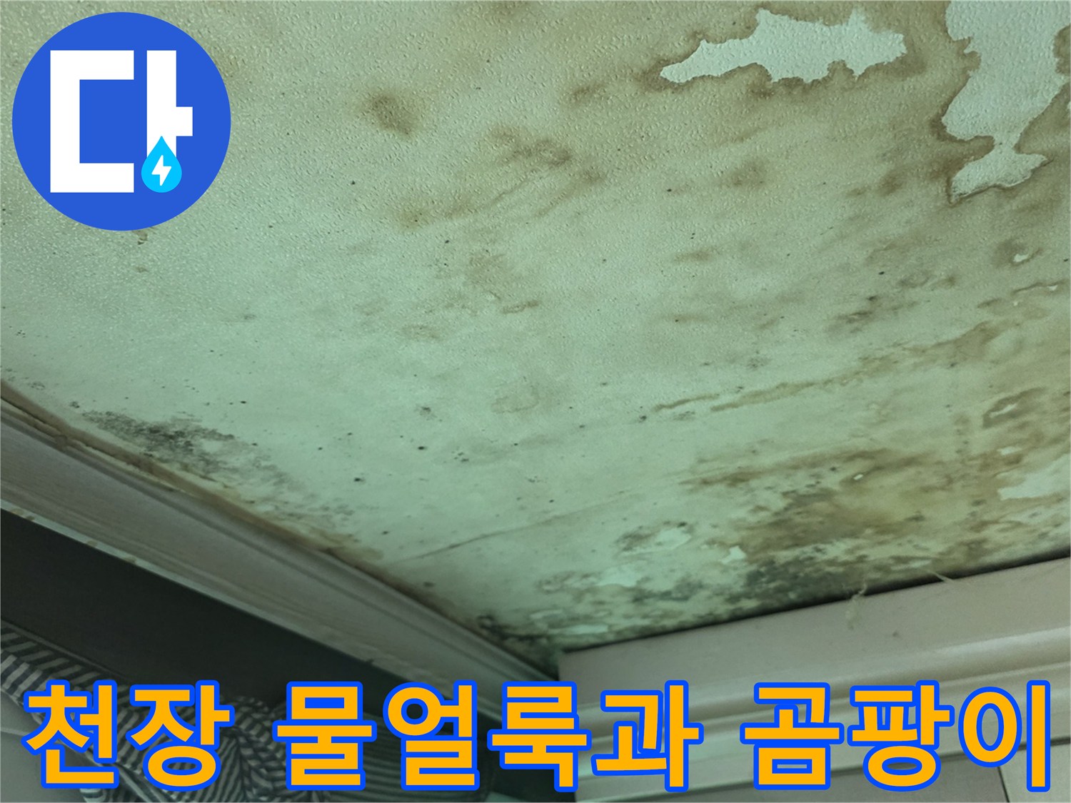 인천 유동 빌라 천장의 심한 물 얼룩 및 곰팡이 발생 상태