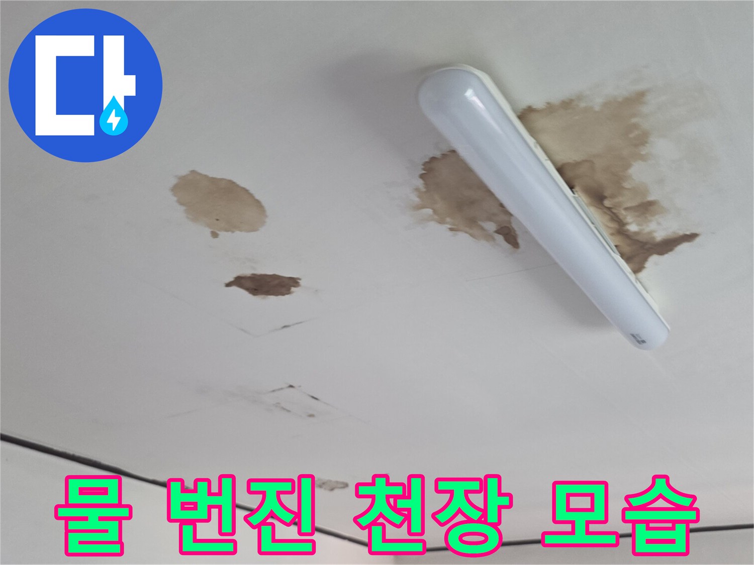 조명 옆으로 번져 나간 거실 천장의 누수 흔적