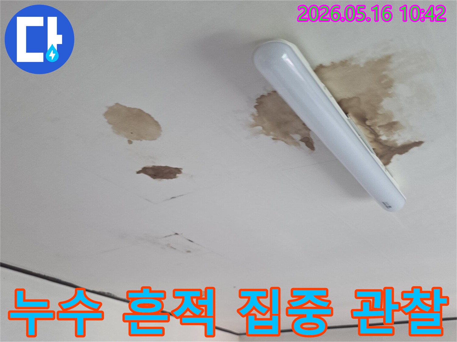 천장-마감재에-생긴-물얼룩과-변형을-자세히-보여주는-사진