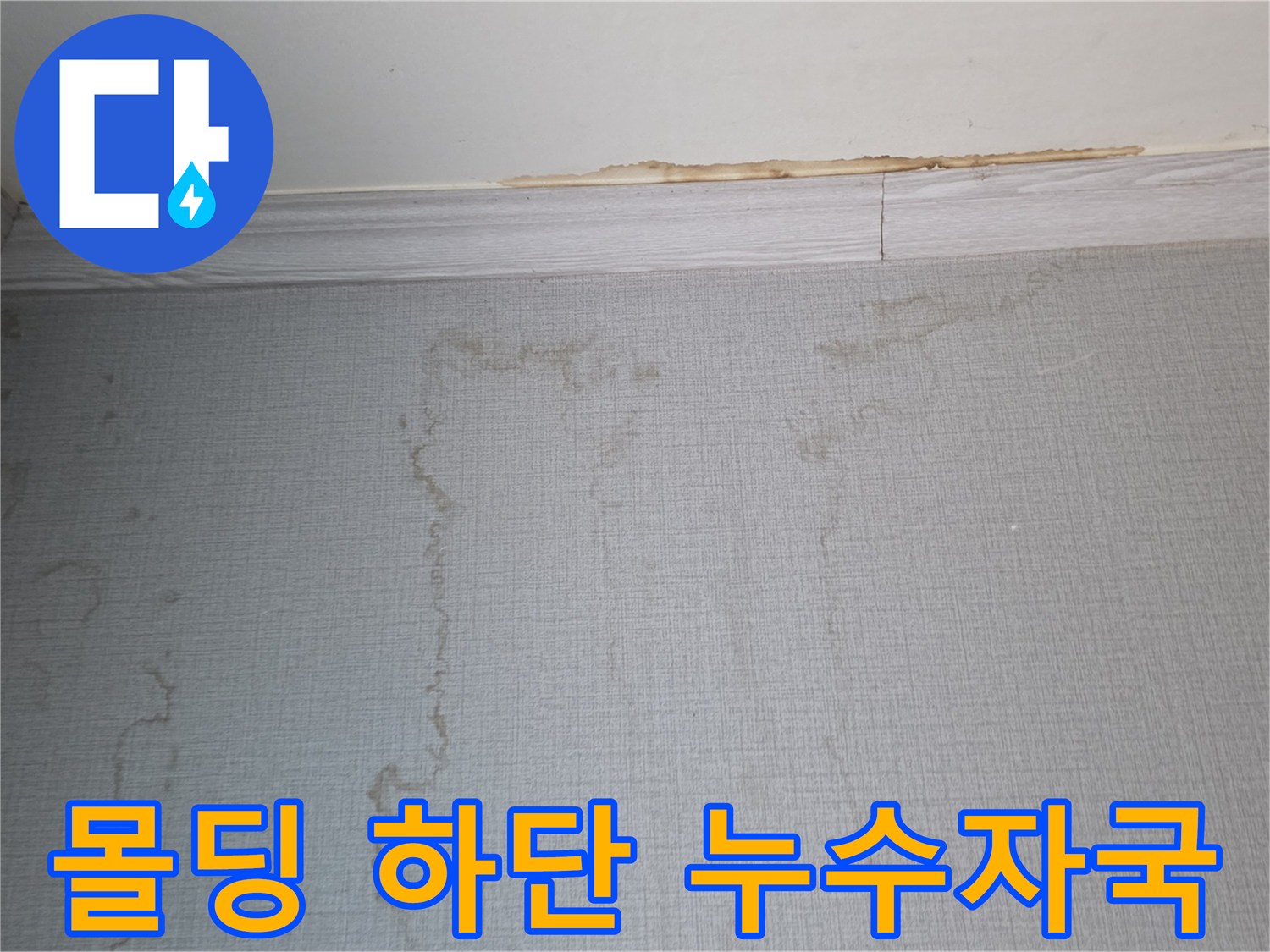 천장 몰딩과 벽면 경계에 나타난 물 번짐 현상
