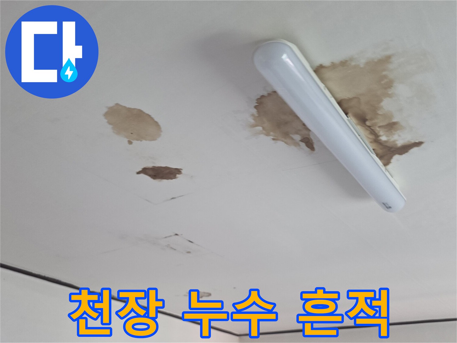 흰색 천장 마감재에 나타난 갈색의 넓은 물 얼룩 자국