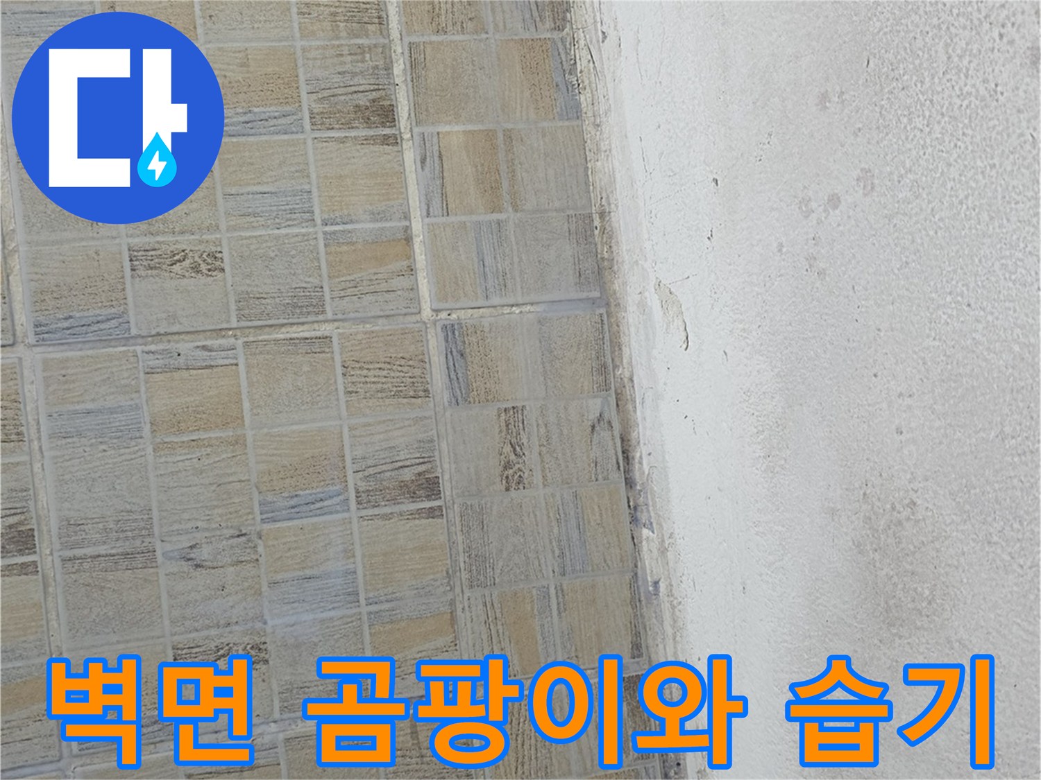 베란다 상단 벽체에 발생한 곰팡이 및 변색 부위 상세