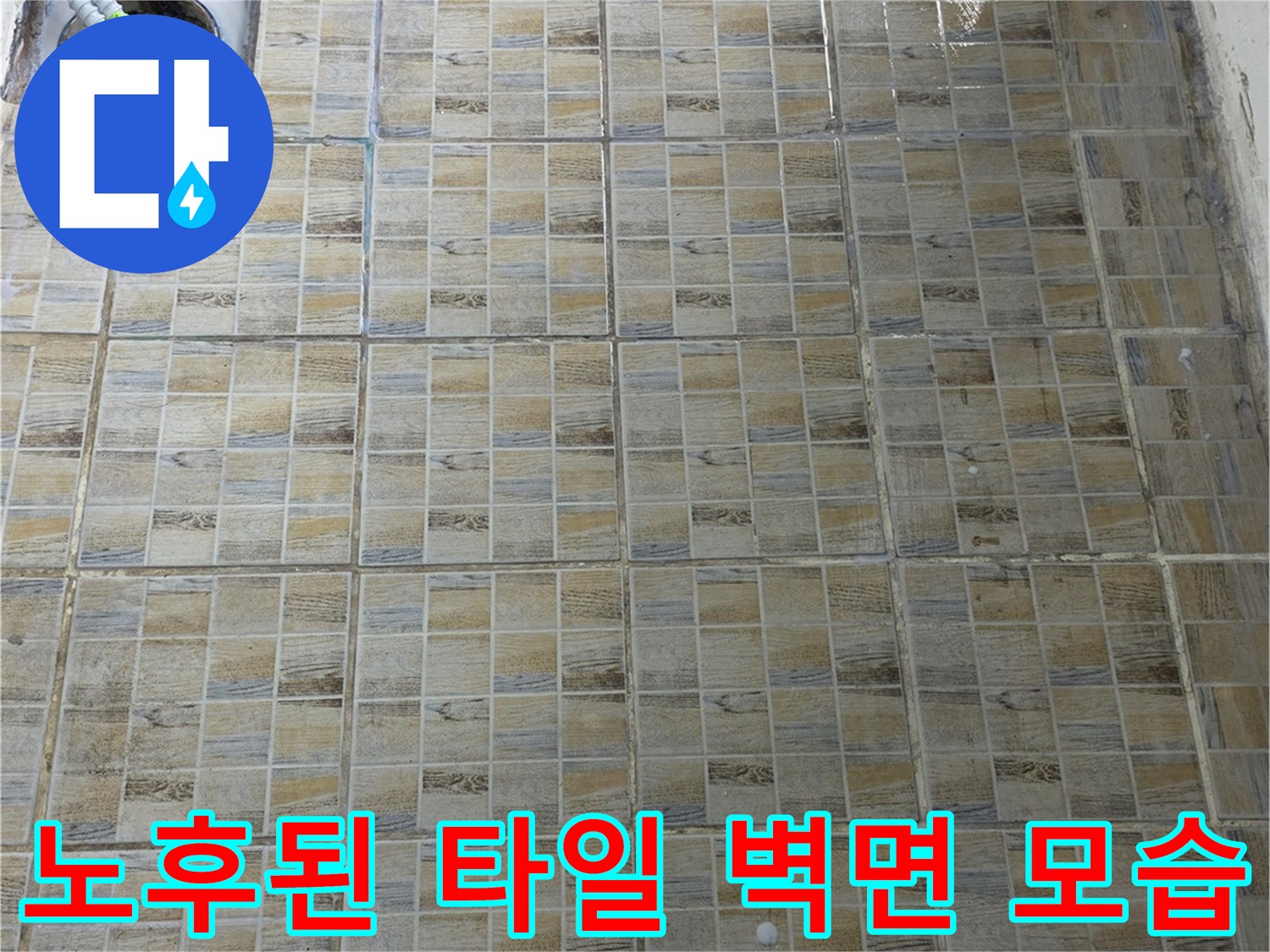 양천구 현장-습기가 의심되는 타일 줄눈 상태