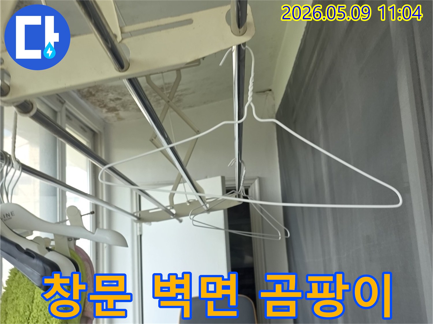 창문 주변 벽면에 곰팡이가 번식하고-벽지가 손상된 아파트 내부 모습