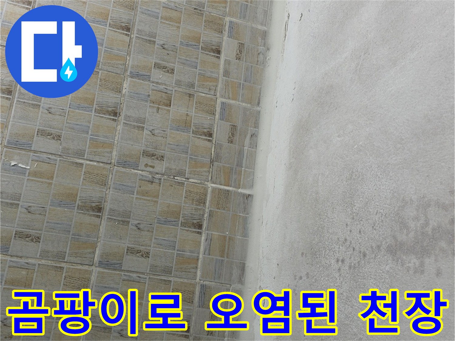천장 면에 나타난 곰팡이와 습기에 의한 얼룩 현상