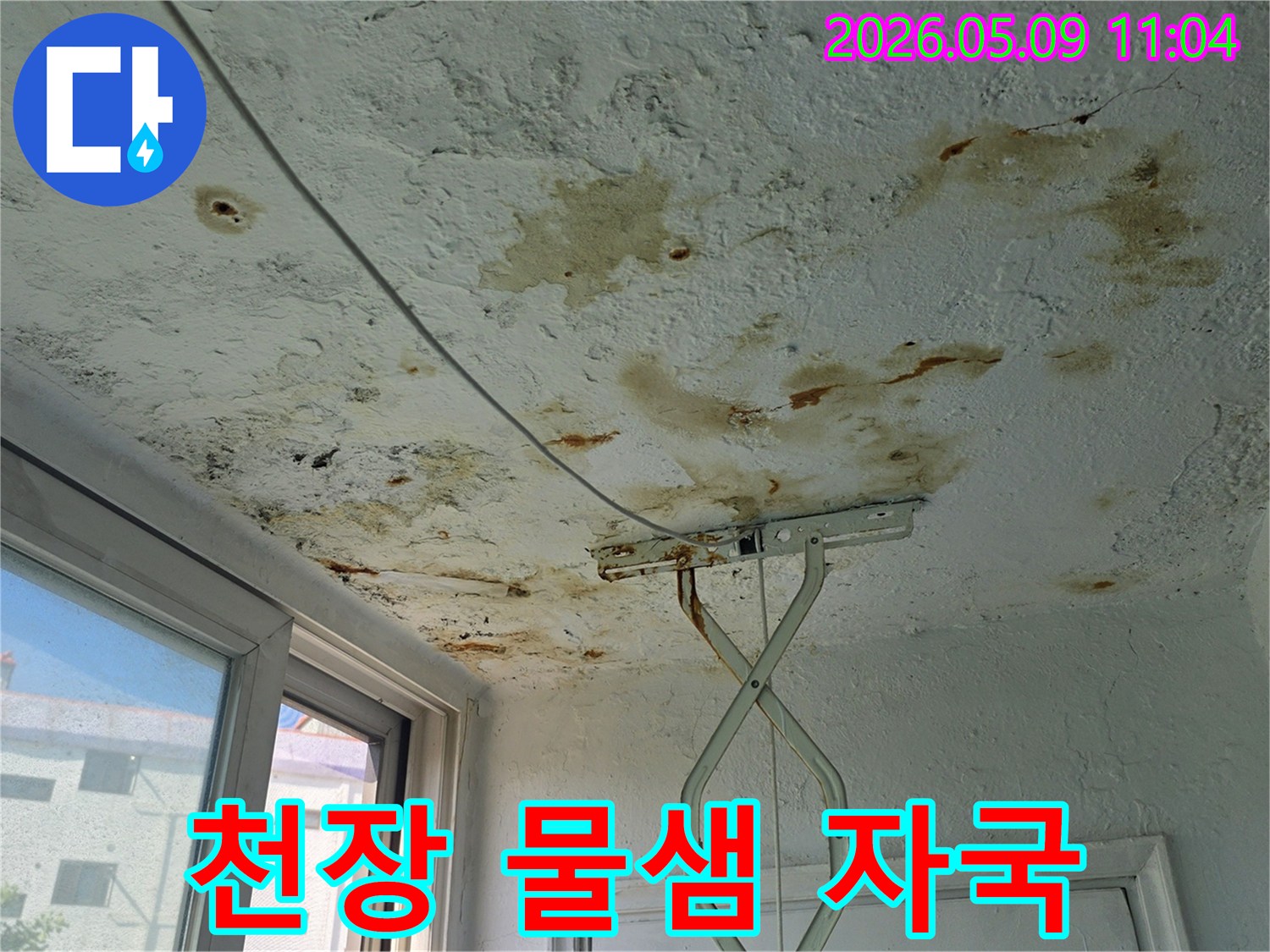 천장 표면에 나타난 심각한 물샘-자국과 곰팡이-성장으로-인해 주거 환경이 손상된 모습입니다