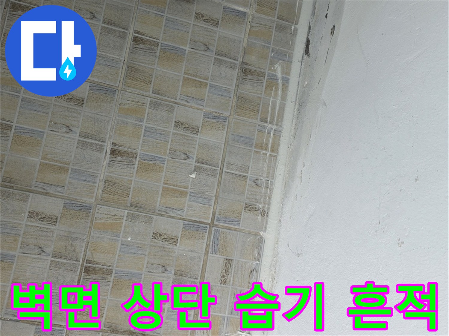 천장과 타일 경계의 젖은 얼룩 부위