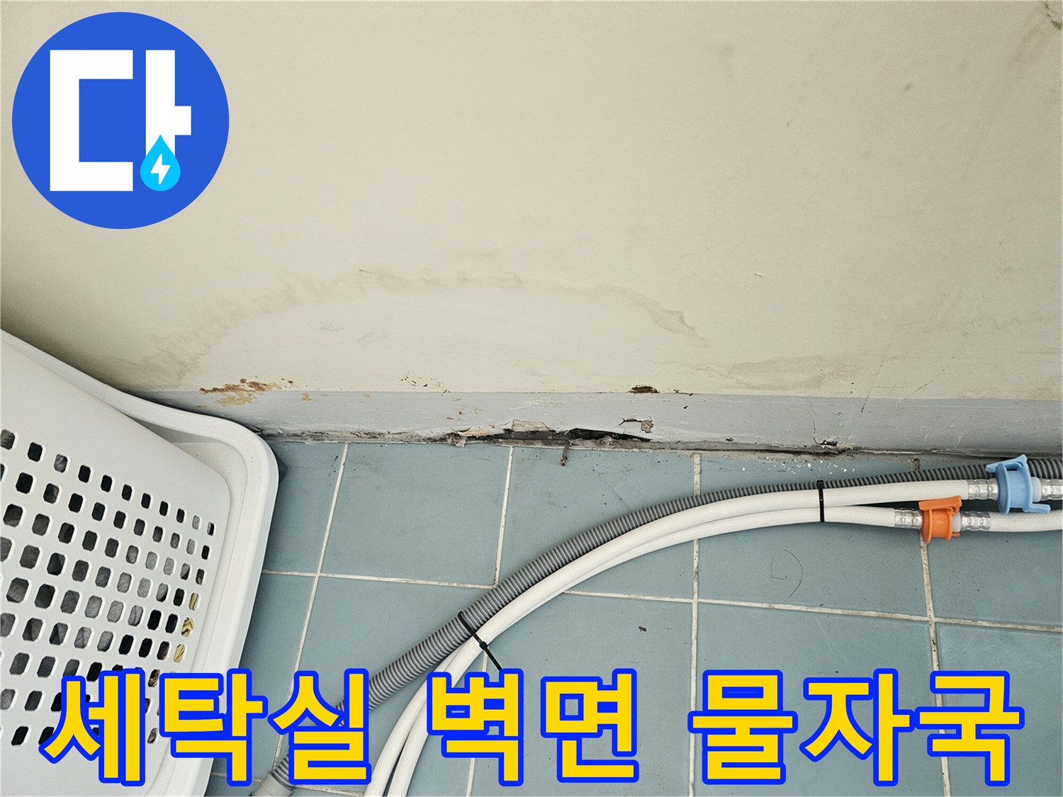 세탁실-벽면 하단부의-습기 및 얼룩 상태