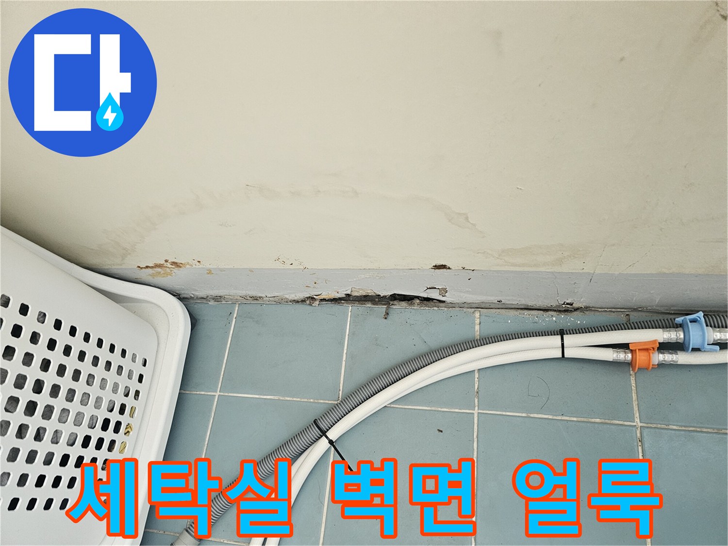 세탁실-벽면 하단에-습기로 인한-얼룩과 젖음 현상