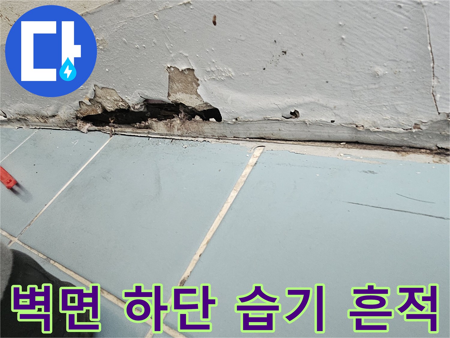 세탁실 벽체 아래쪽-페인트가 벗겨지고 젖은 모습