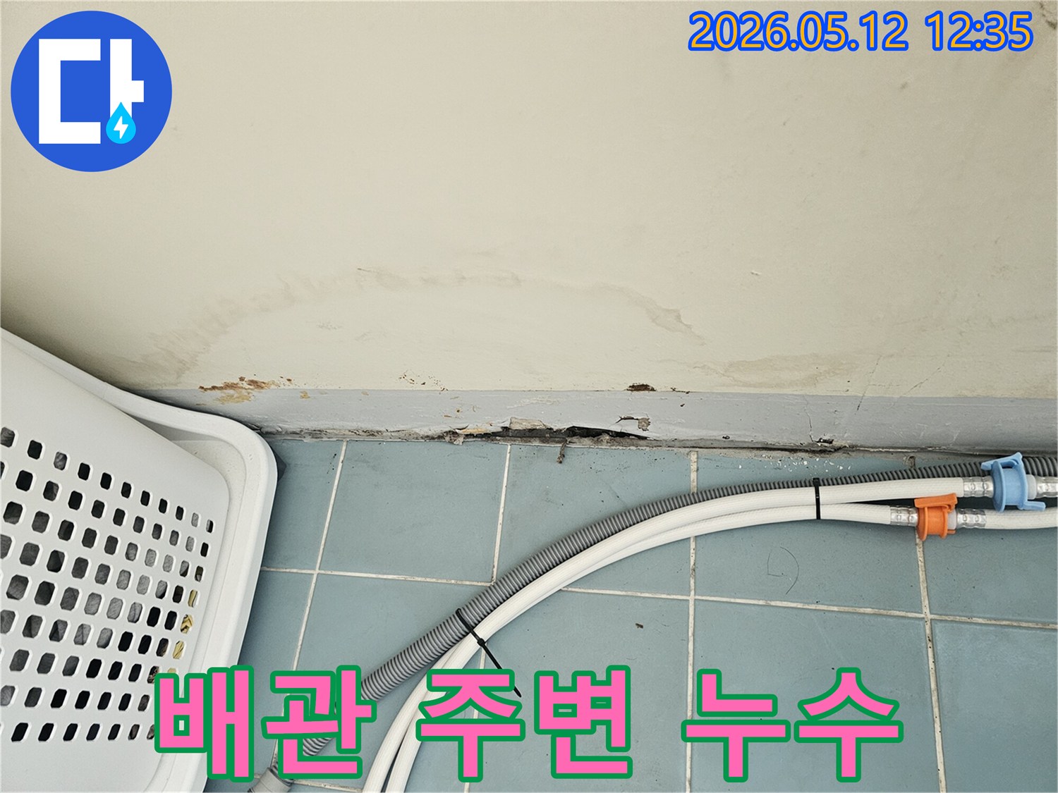 아파트 벽 하단에 스며든 물기로 인한 벽지 손상-곰팡이 발생-세탁기 배수 호스 근처