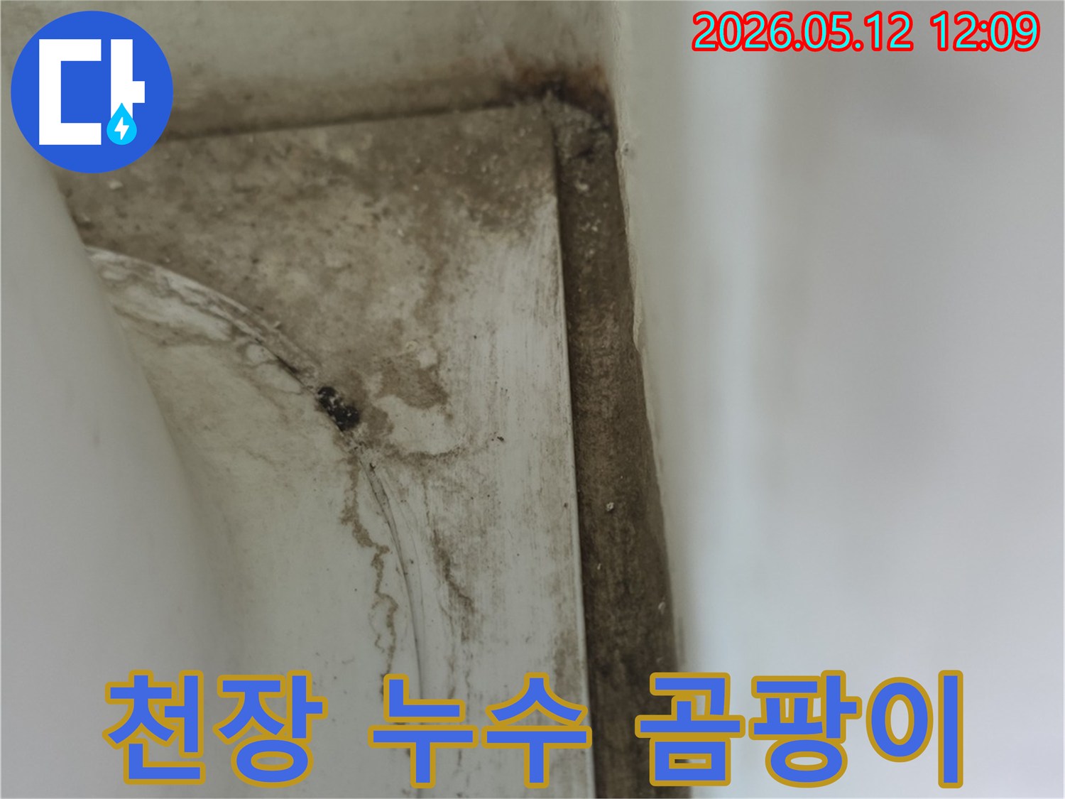 욕실-천장-모서리에-발생한-누수로-인한-심각한-곰팡이-오염과-물때-자국
