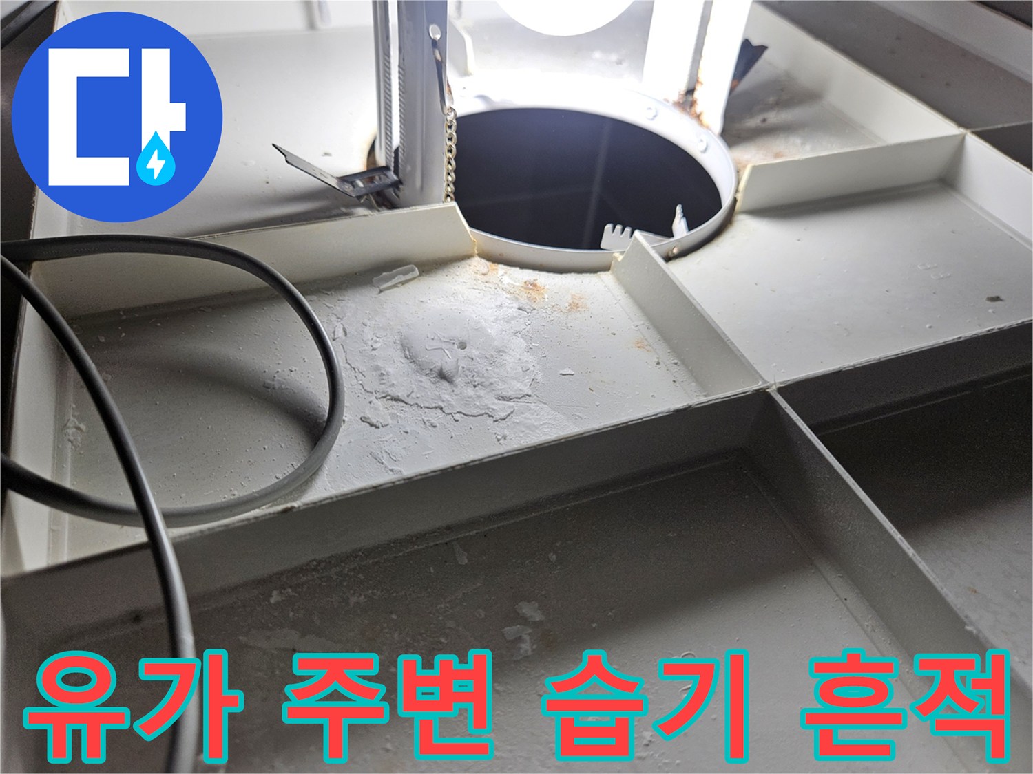 욕실-배수구-주변-타일-사이의-젖은-상태
