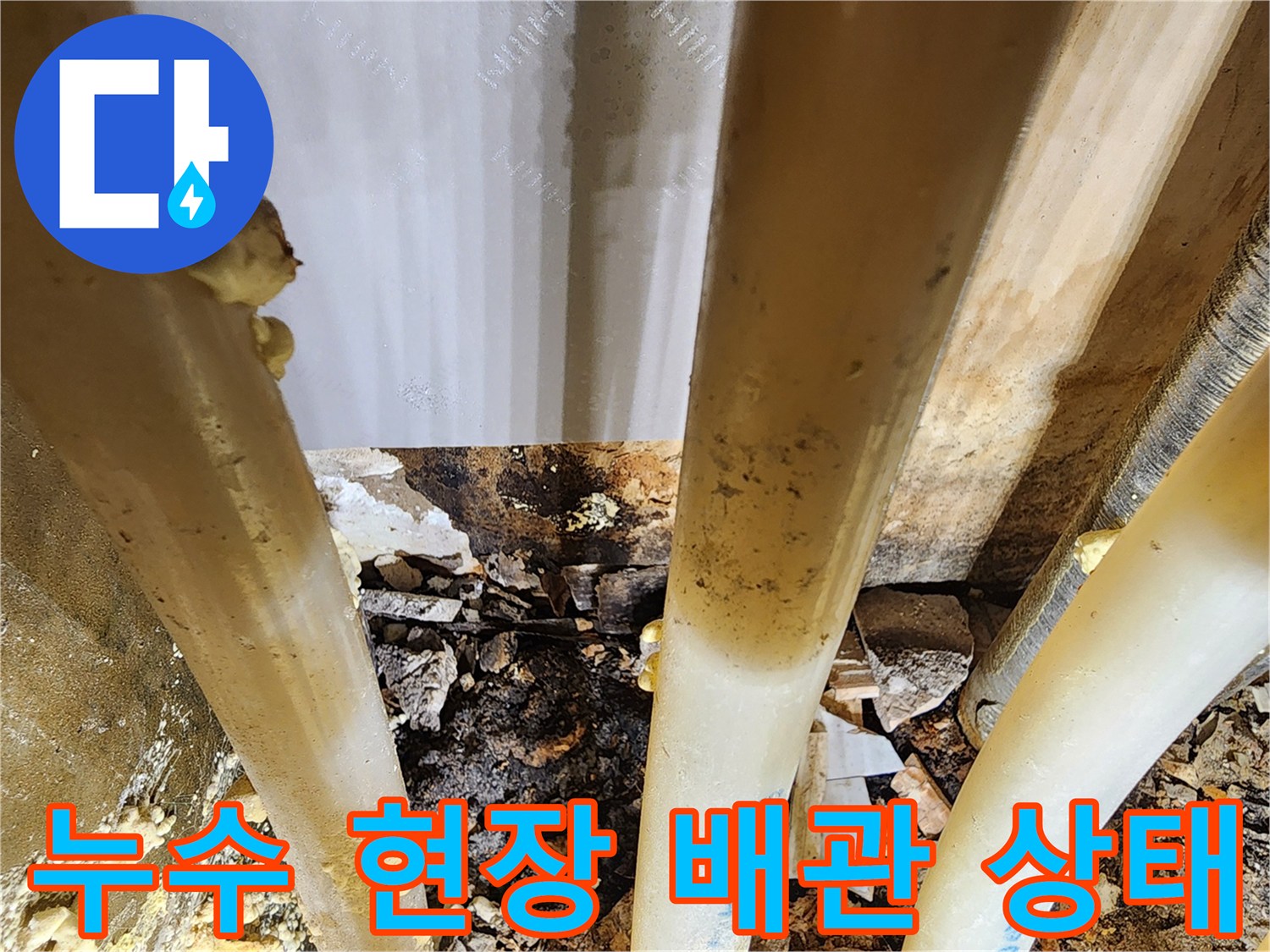 아파트-누수-탐지-중-발견된-습기로-가득한-배관-주변-환경
