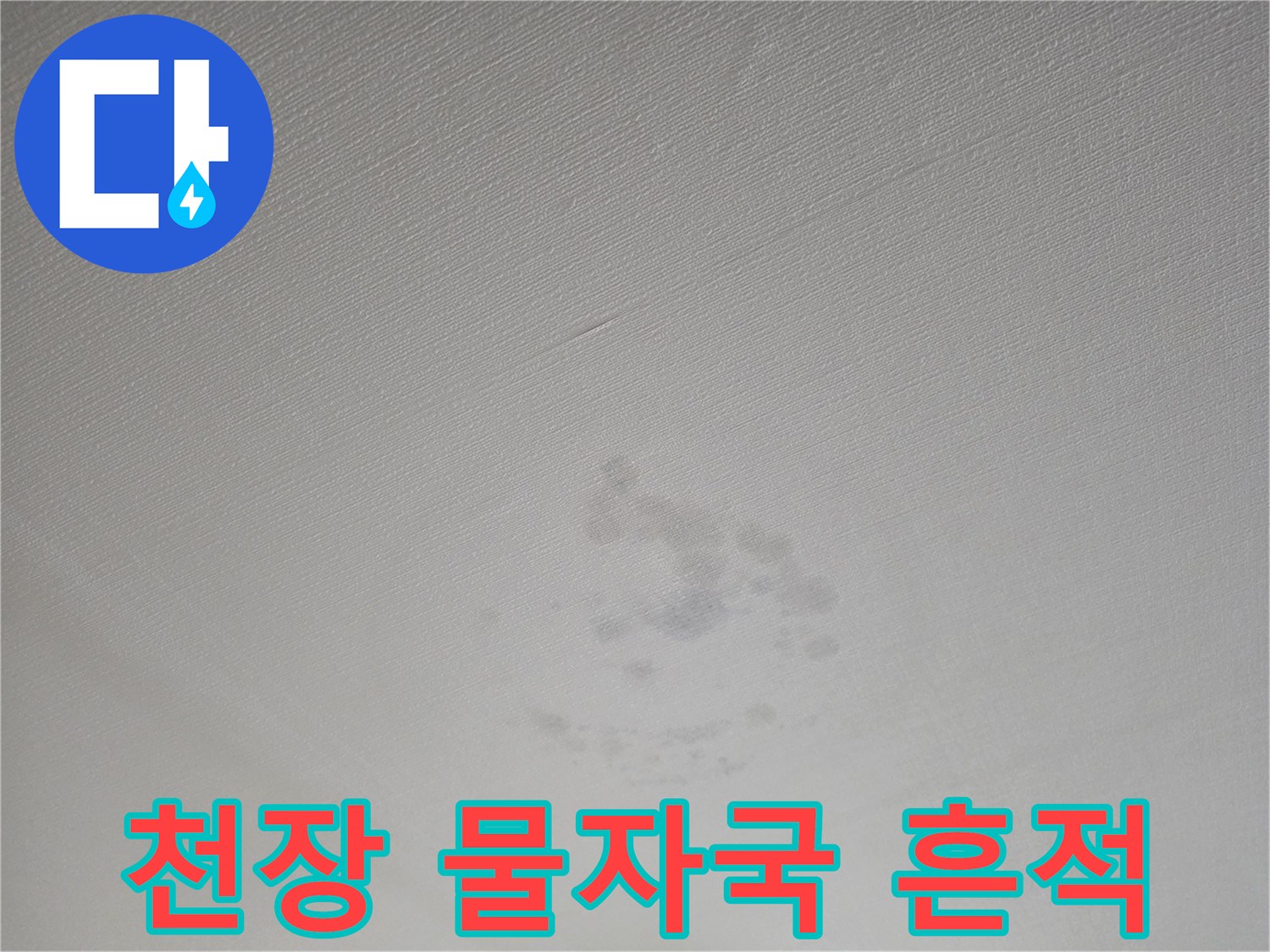 빌라 거실 천장에 발생한 짙은 색의 누수 얼룩 사진