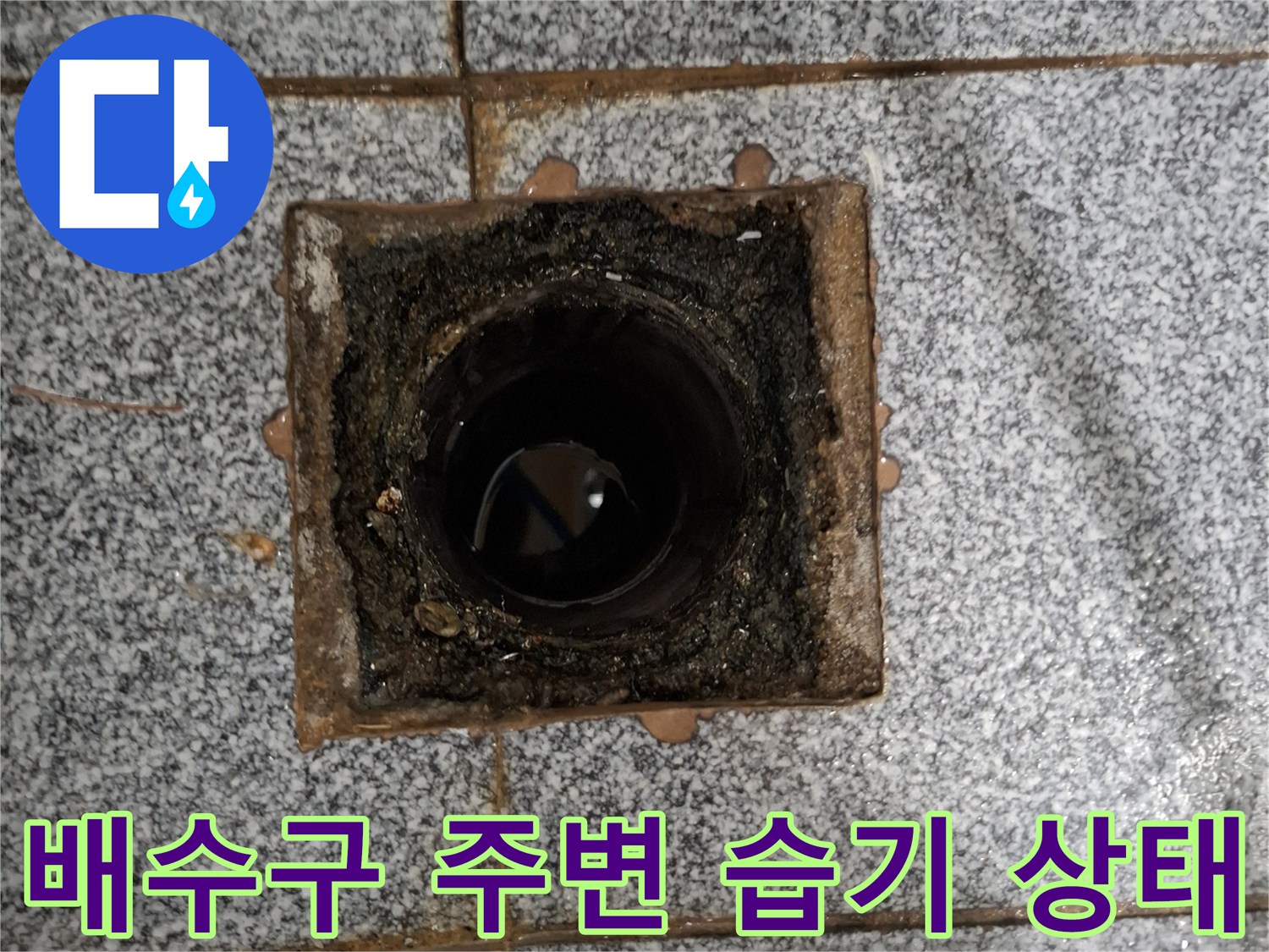 습기와-이물질로-오염된-배수구-주변-모습