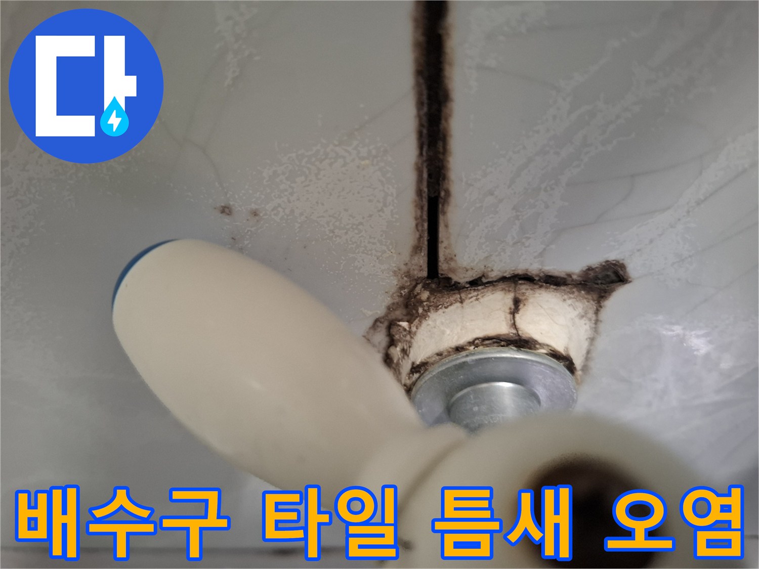 화장실-타일-줄눈-부위의-심한-습기-와-곰팡이