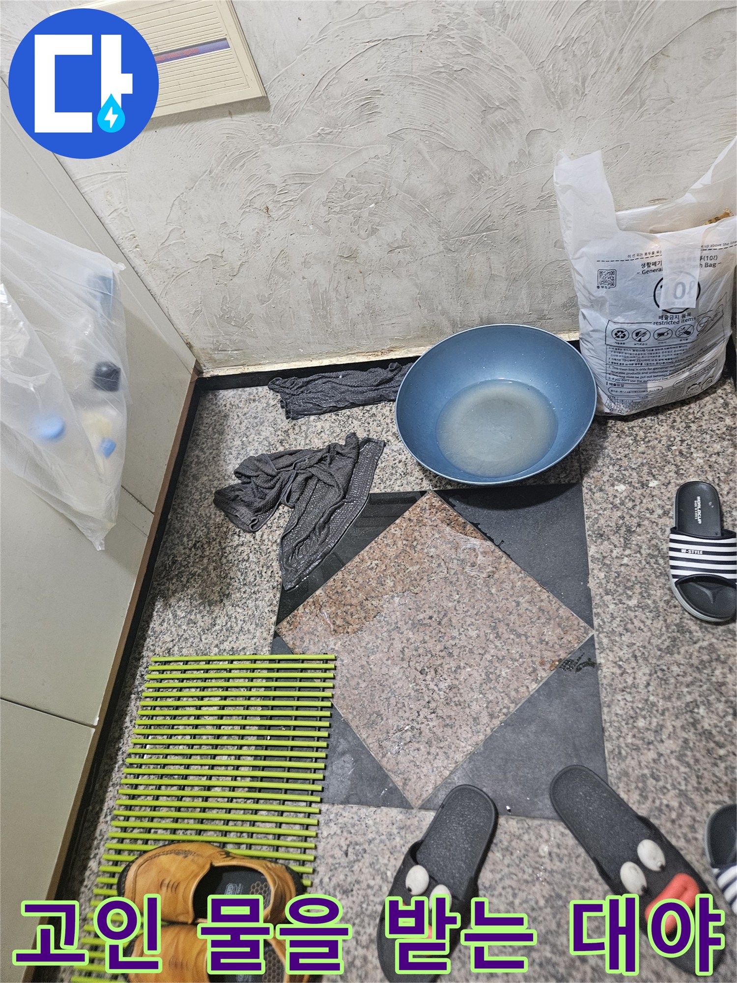 바닥에 고인 물을 수거하기 위해 배치된 파란색 대야 - 현장 상황