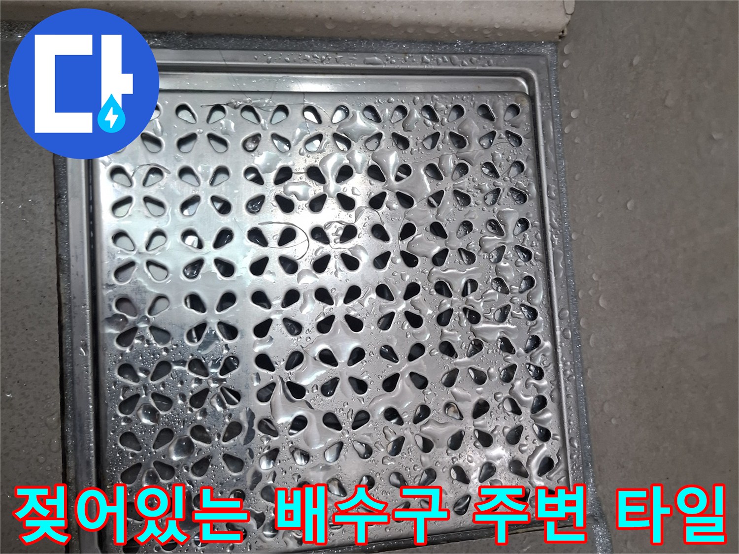 화장실 배수구 덮개와 타일 사이의 물기-누수 가능성 확인