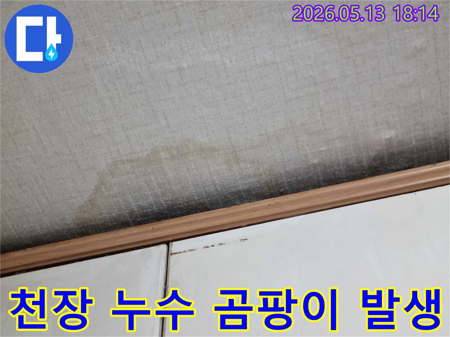 이 사진은-천장에 발생한-누수로 인한-물 자국과-곰팡이가-번진 모습을-보여줍니다