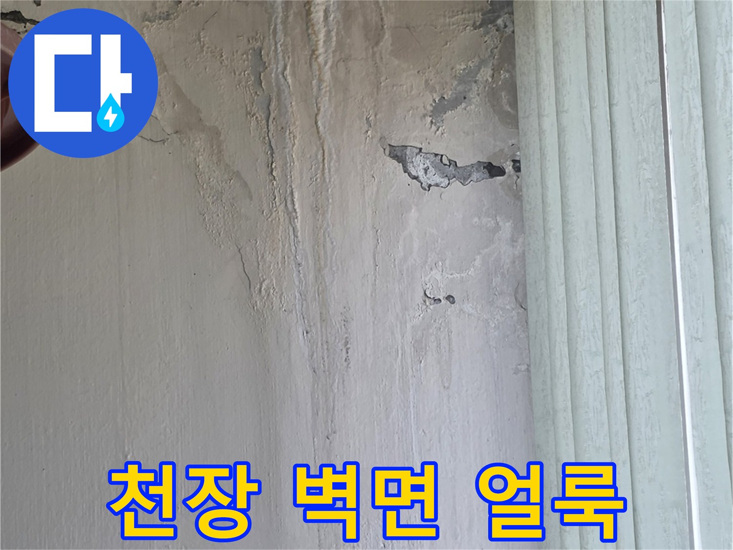 남양주-진건읍-아파트-천장-벽면-누수-흔적-사진