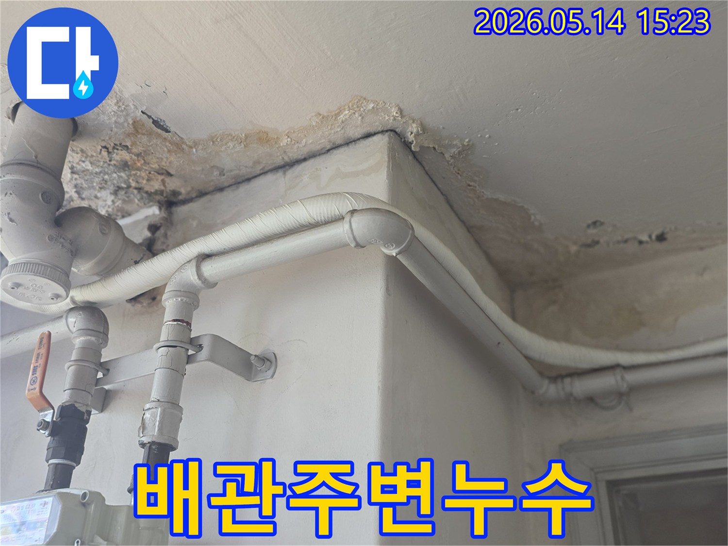 천장-마감재가-들뜨고-곰팡이가-피어난-누수-피해-현장-사진입니다
