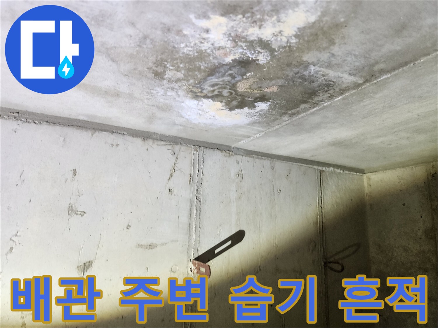 화성 현장의-젖어 있는 천장 슬래브 부위