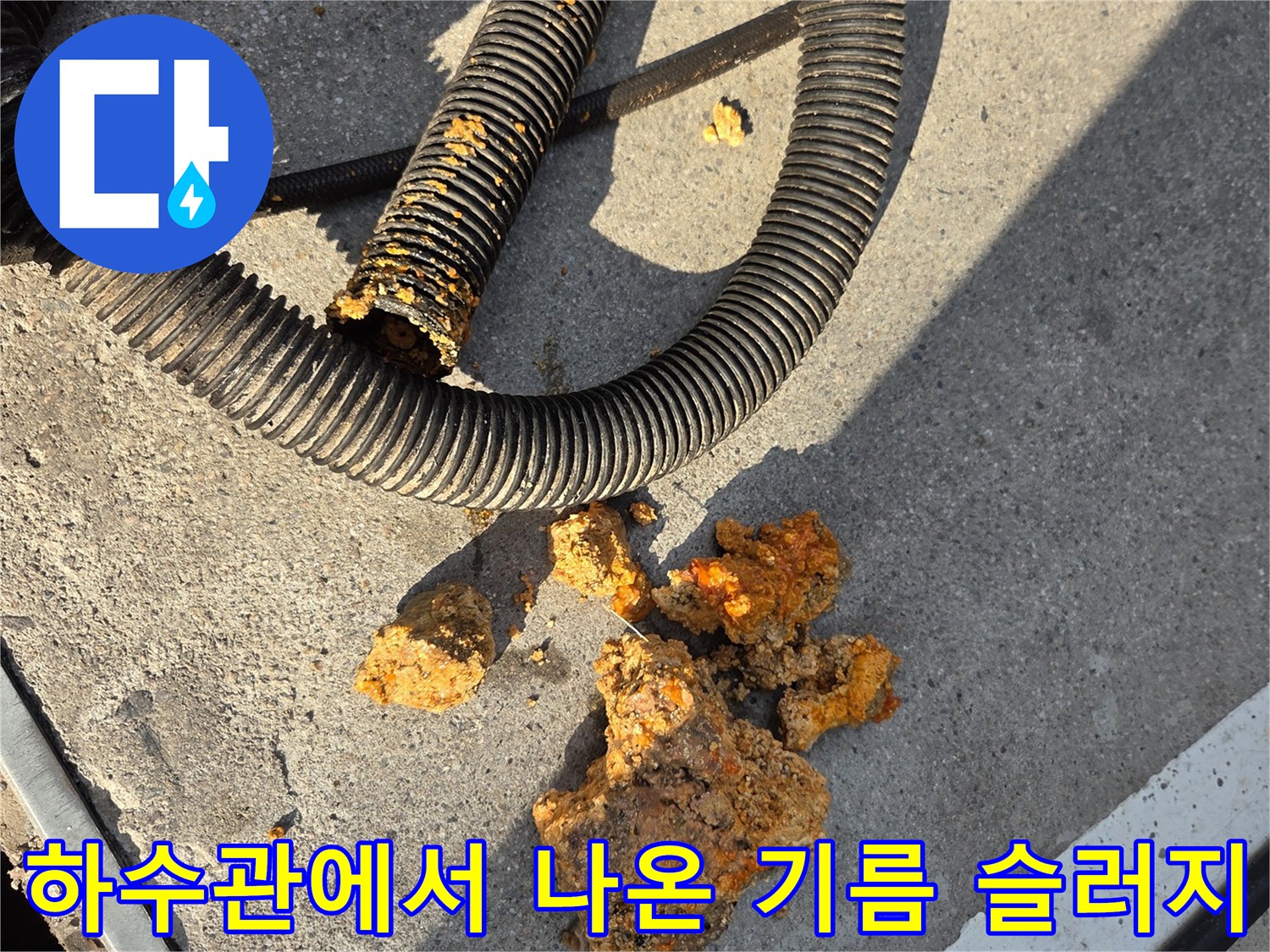 바닥에 쌓여 있는 거대한 유기물 덩어리와 청소용 호스