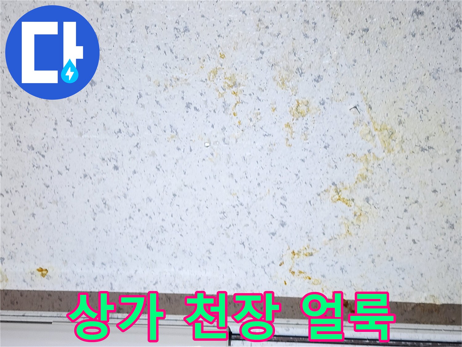 강서구 상가 천장 마감재에 발생한 누수 흔적과 황색 얼룩 상태