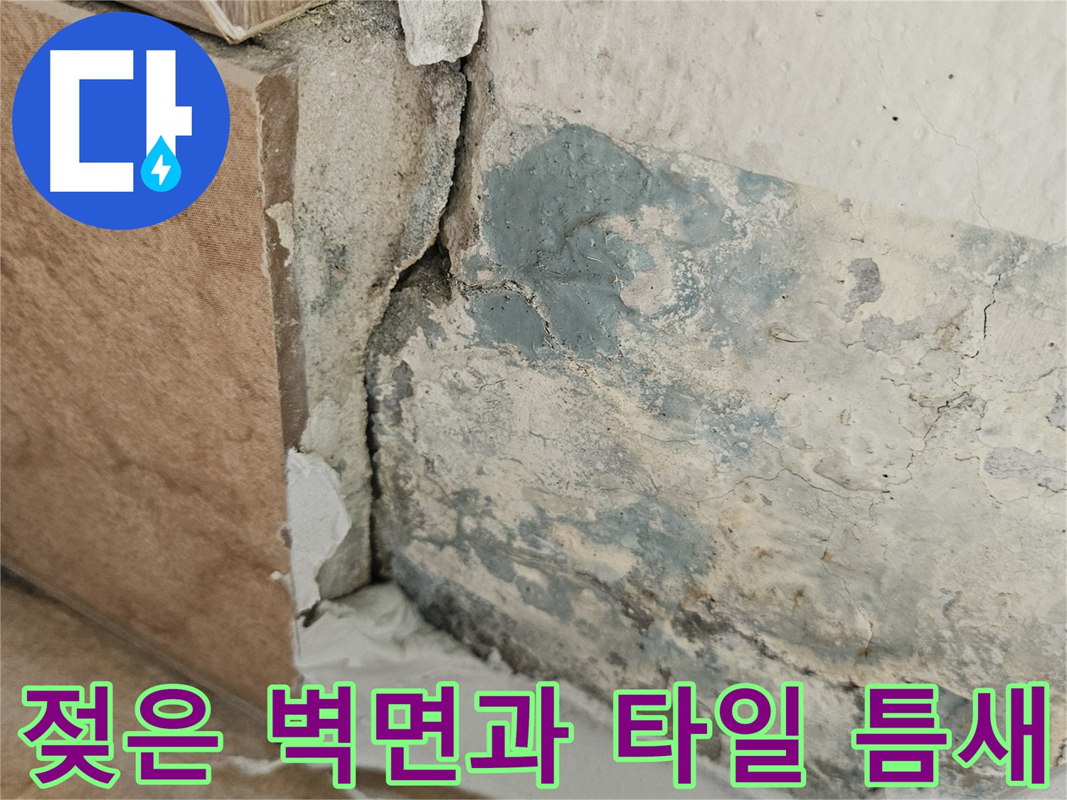 물샘현상으로-오염된-베란다-하단-벽체