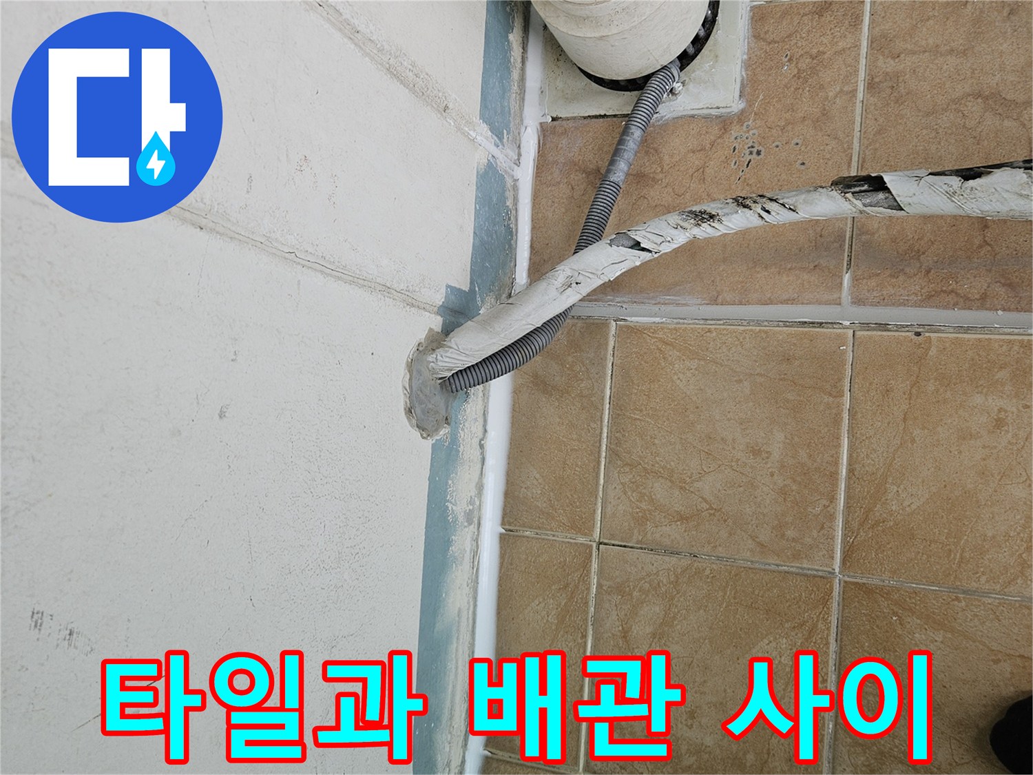 배관-연결부-타일-사이-틈새-발견
