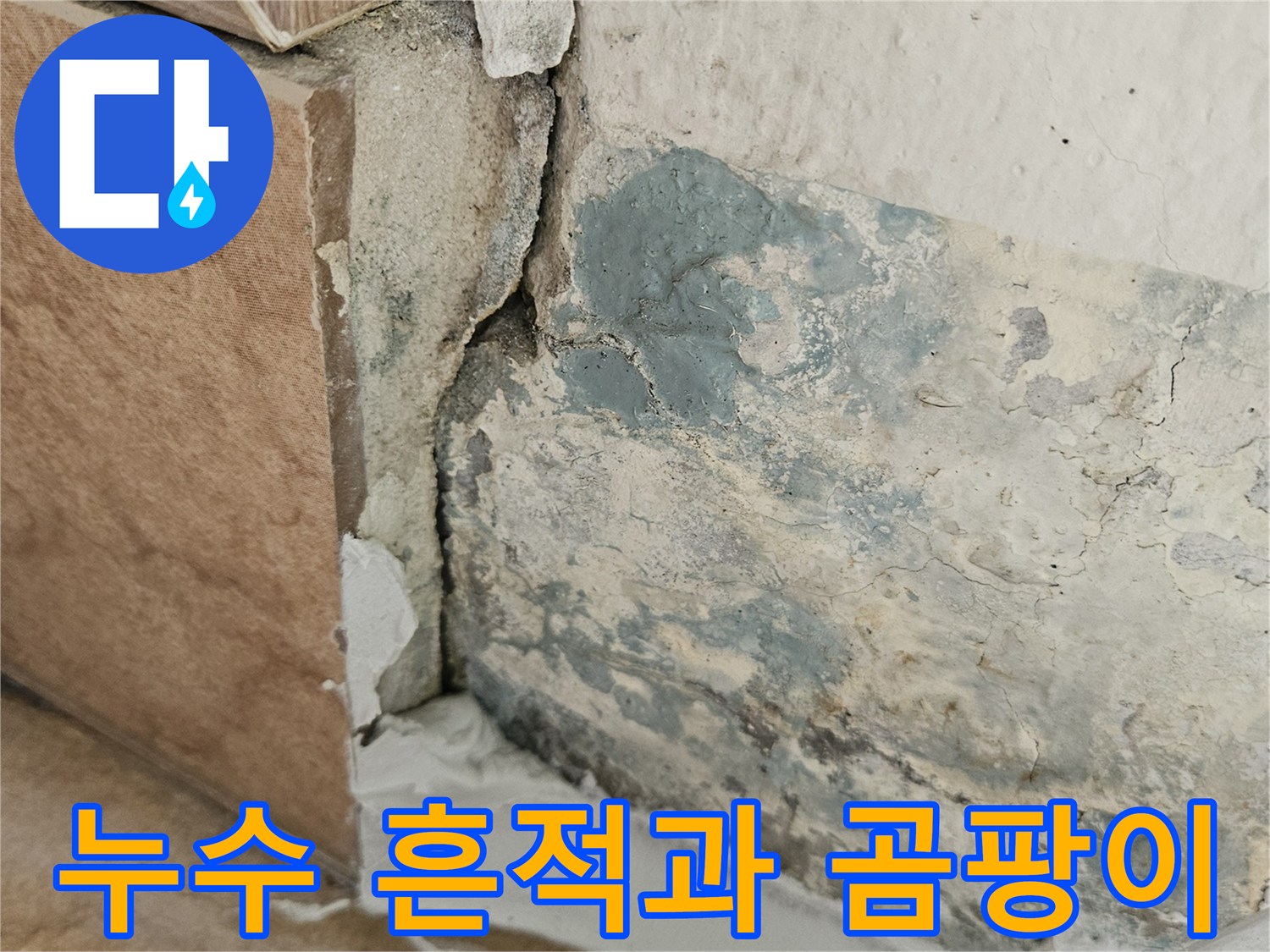 오염된-벽면-및-타일-접합부의-상태