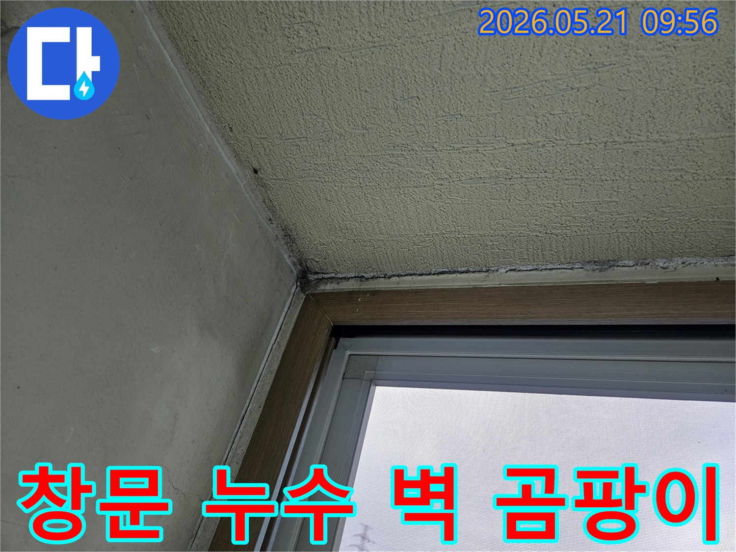 창문 주변 벽면에 발생한-곰팡이와-물기로 인한 손상을 보여주는-아파트 내부 벽의 모습