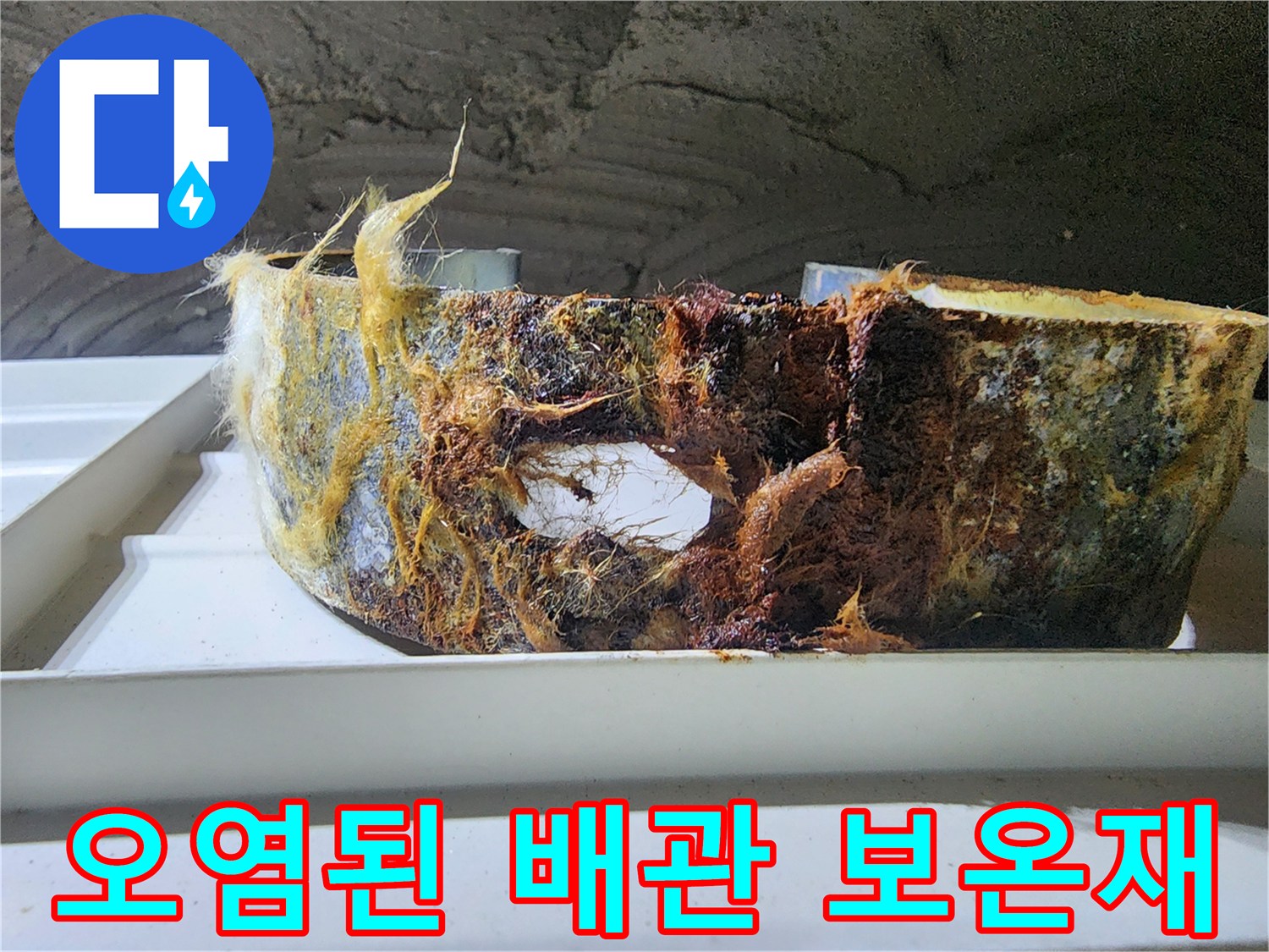 누수로 인해 젖어있는 배관의 보온재 상태
