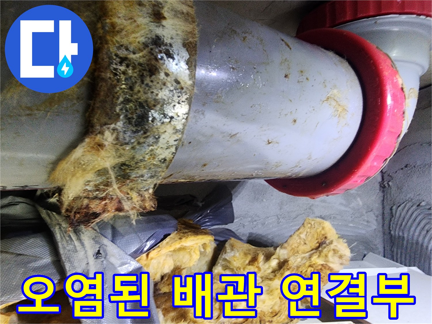 오수관-연결부-주변-습기-및-이물질-오염-상태