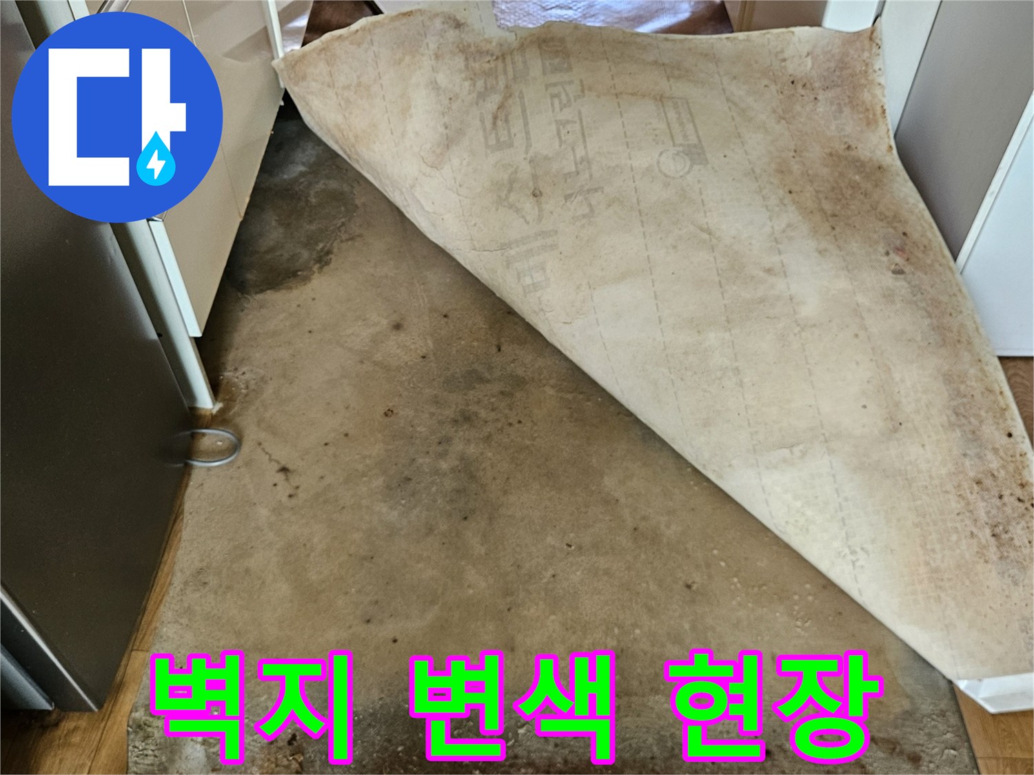 강동구 아파트-변색된 벽지와 곰팡이 발생 부위