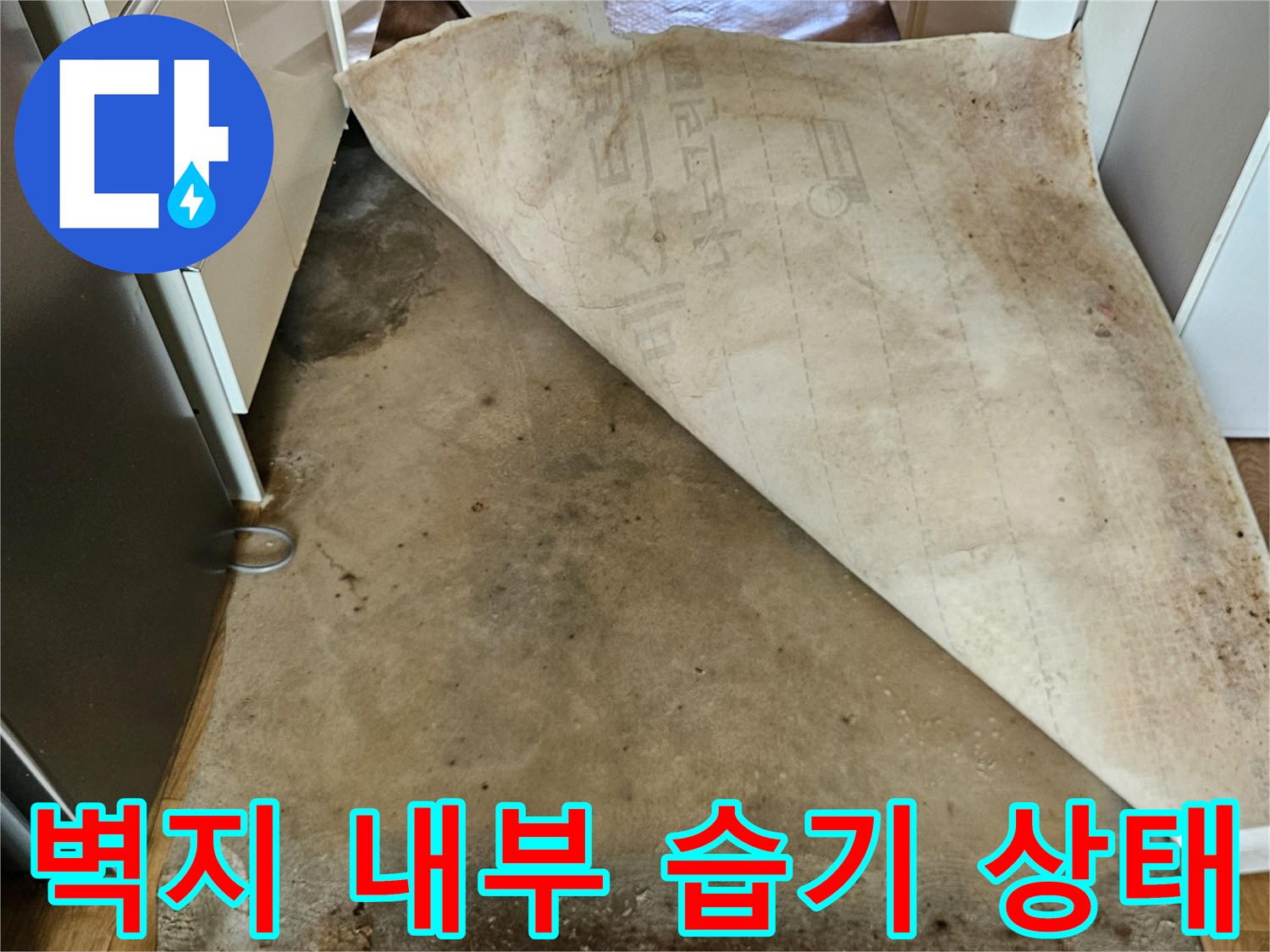 들춰낸-벽지 뒤편의 젖은 콘크리트와 오염
