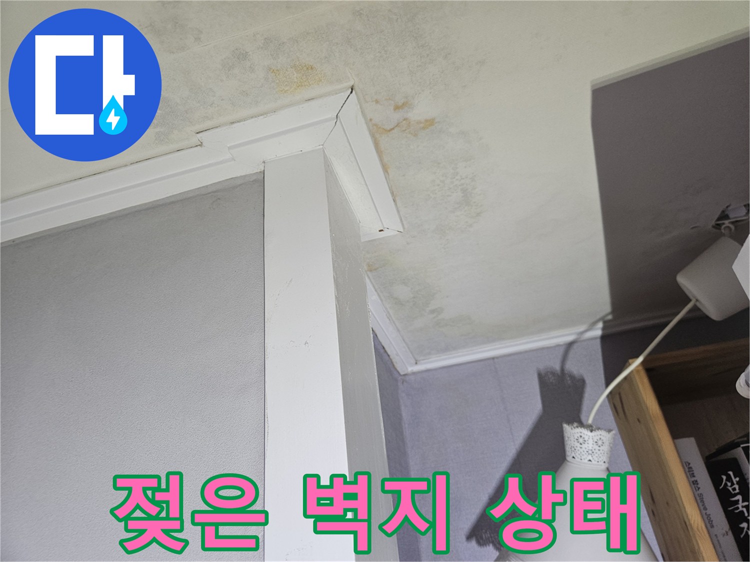 습기로 인해 변색된 천장 벽지 및 곰팡이