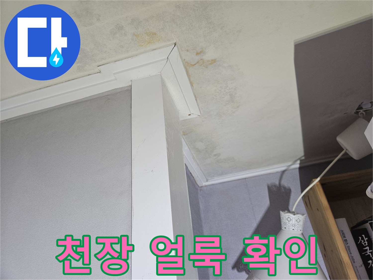 천장 몰딩 주변의 누수 및 곰팡이 흔적 사진