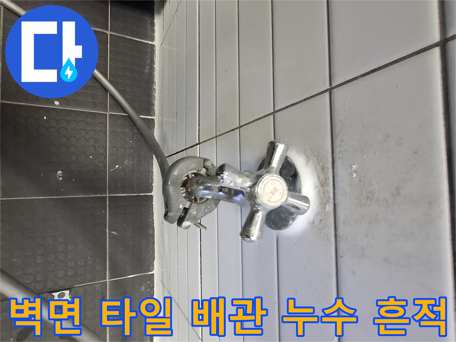 타일 사이로 스며든 물기로 인해 발생한 검은 얼룩