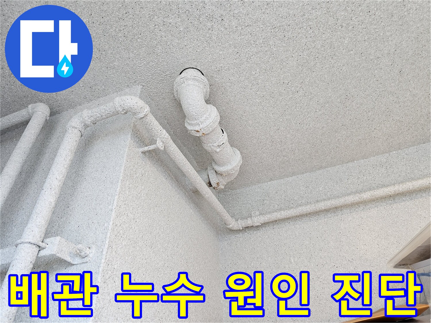 천장-내부-오수관-및-가지관-배관-구조-확인