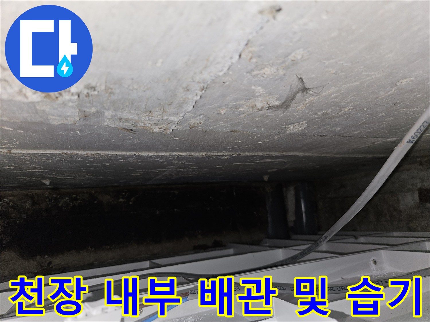 천장 마감재 아래로 보이는 젖은 콘크리트 면과 전선