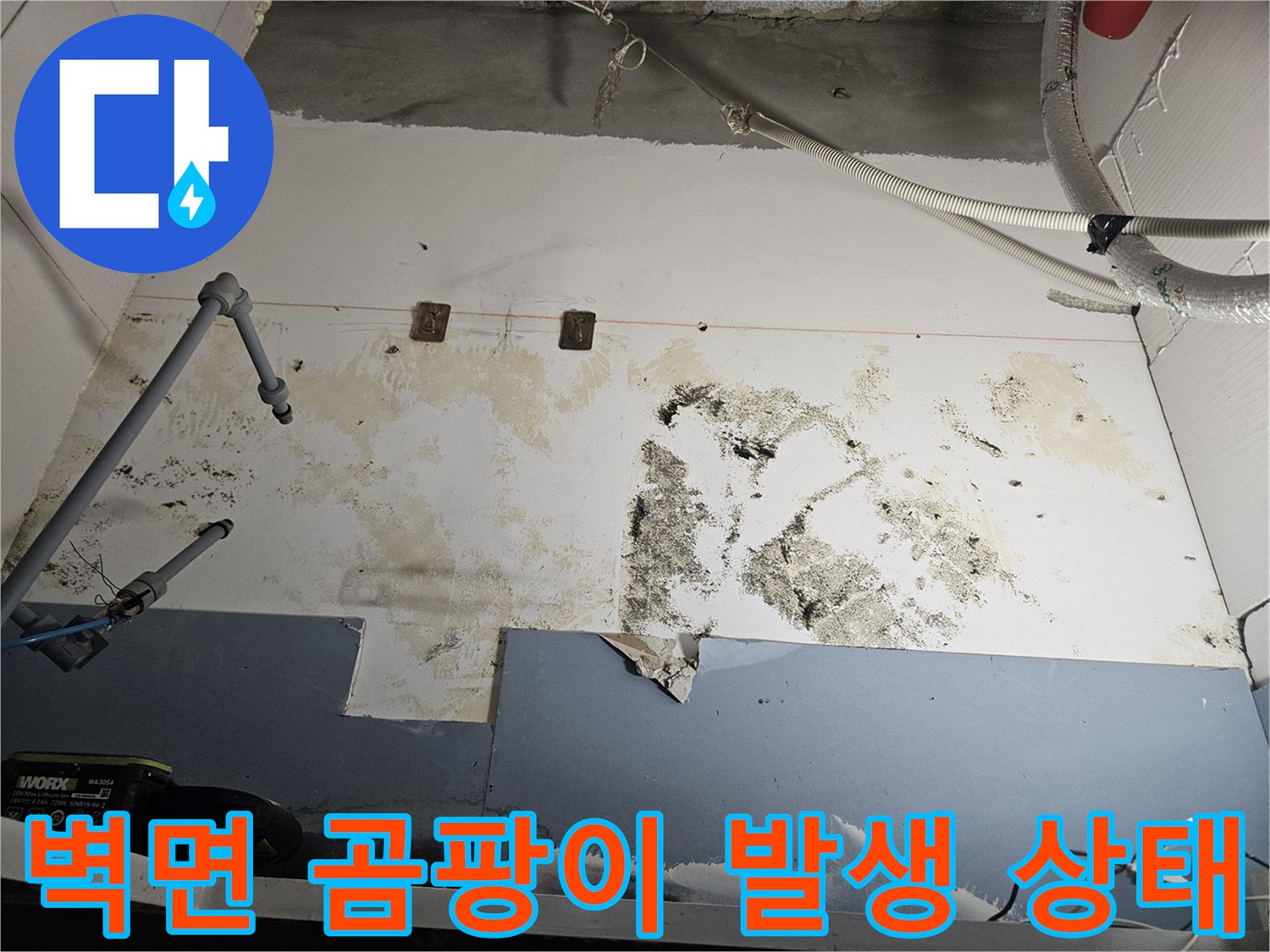 배관-주변-벽면의-심한-곰팡이와-습기